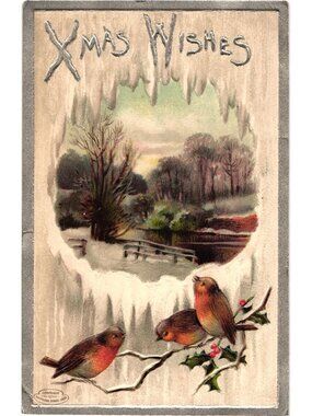 Xmas Wishes Embossed Postcard 1910 Birds Snowy Landscape Davidson Bros